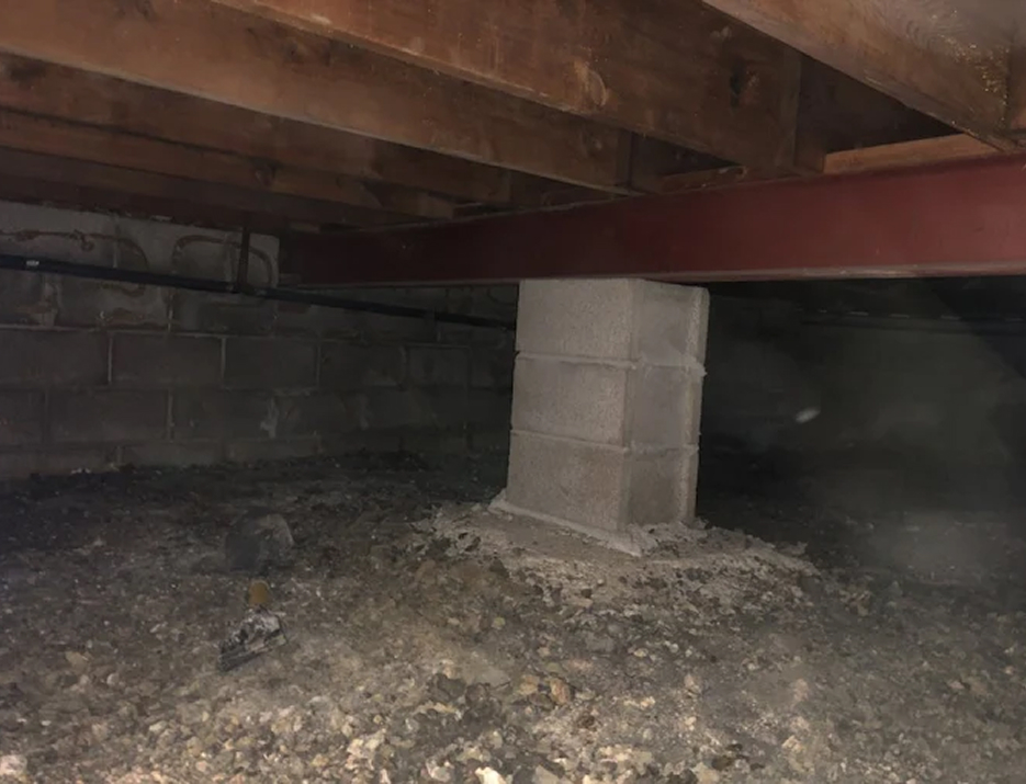 Technician inspecting a crawl space before recommending repair solutions
